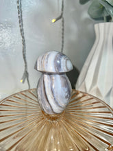 Load image into Gallery viewer, Sea jasper mushrooms
