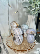 Load image into Gallery viewer, Sea jasper mushrooms
