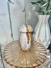 Load image into Gallery viewer, Sea jasper mushrooms
