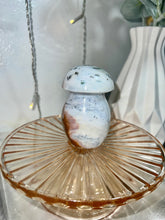 Load image into Gallery viewer, Sea jasper mushrooms
