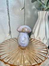 Load image into Gallery viewer, Sea jasper mushrooms
